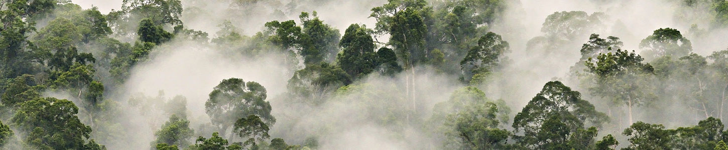 FAPAS – Associação Portuguesa para a Conservação da Biodiversidade